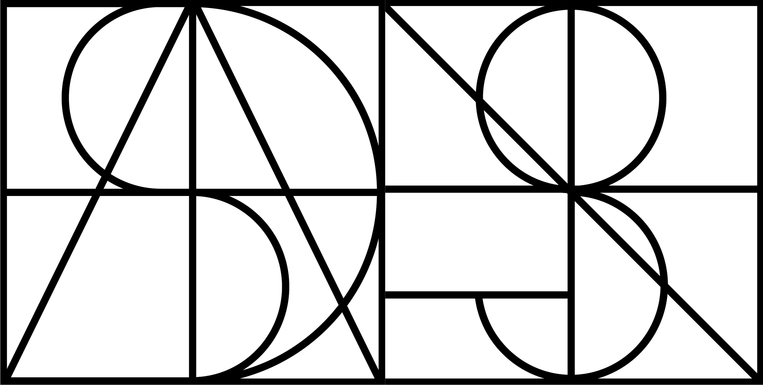 Shadie Elnashai monogram